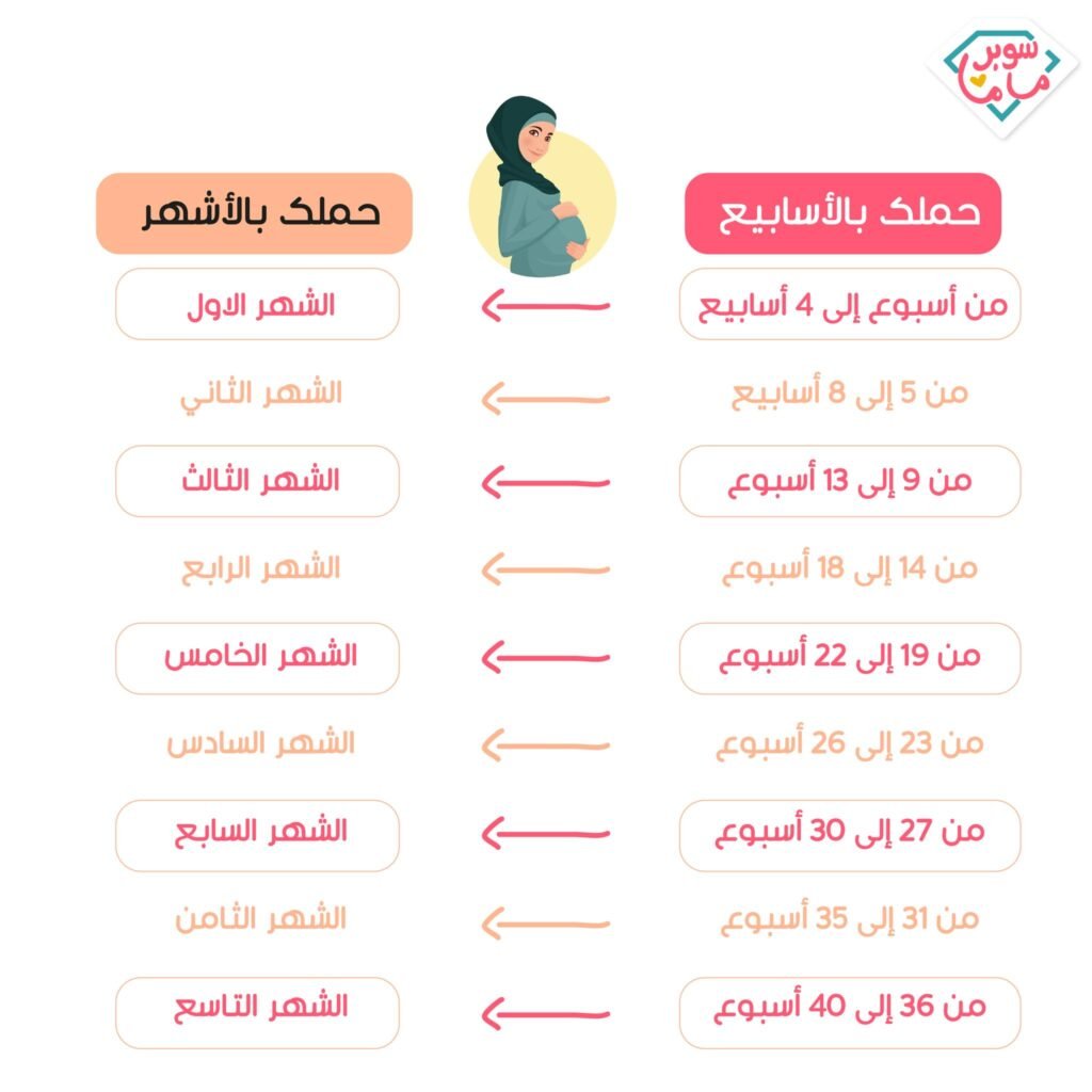 حساب الحمل