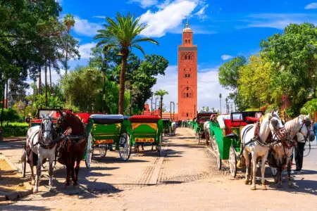 السياحة في مراكش